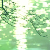 宝宝色彩英文早教,熊孩子你在干嘛?萌娃:我在