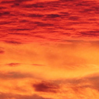 金毛妞妞每天在家太能秀恩爱了,最后把金毛欢