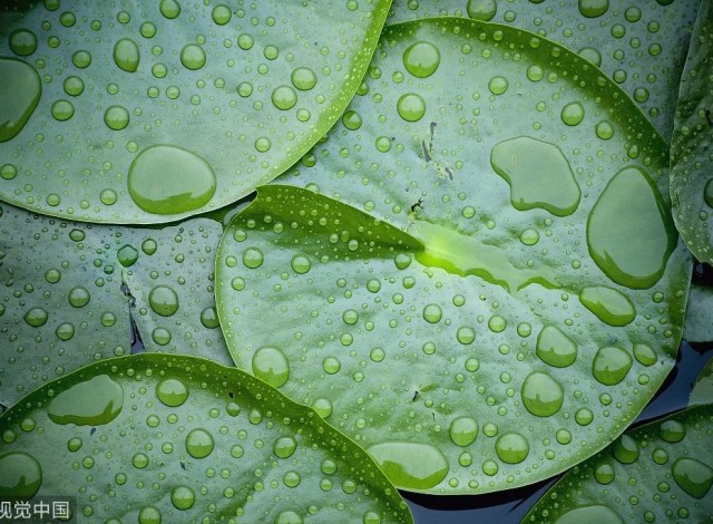 苹果iOS 12隐藏功能