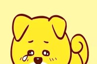 河南农信社考试内容及科目占比!