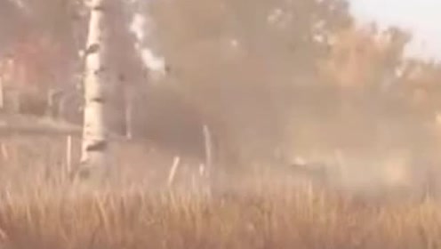 逆水寒:同样是紫色但是称呼却是传世,目前在整