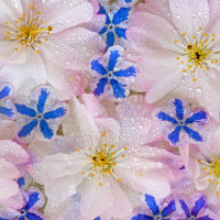 农村大叔开唱《从头再来》,竟然这样唱高音,一