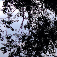 《跑男》baby熊黛林战斗激烈,陈赫:不要扯衣服