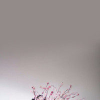 乡村爱情10下:说的吃饭的刀叉 美兰这咋还把掏