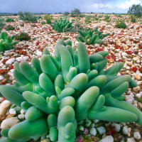 吴秀波陈学冬合唱《南屏晚钟》 悠扬婉转无可