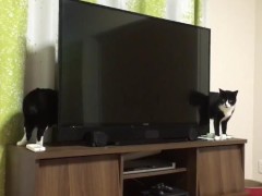 李白的剑法究竟有多高明,为何要英雄寂寞拔剑