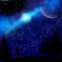 中国游客遭瑞典公务人员粗暴对待事件后续