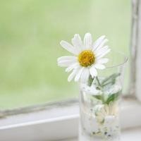 又一部小说翻拍的电视剧来袭!迪丽热巴和张艺