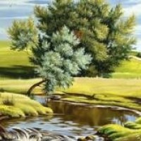 巴西电梯整蛊:正在上升的电梯突然地板全掉了