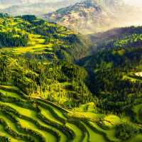 鲨鱼宝宝儿歌:恐龙和鲨鱼一家亲 欢快玩耍