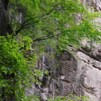 大小姐吃鸡: 国际服的老外是什么样存在? 在国