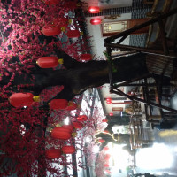 亮剑主题曲:中国军魂,当年燃起了多少人的心,经