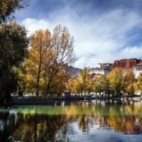 电视剧《哑巴新娘》主题曲