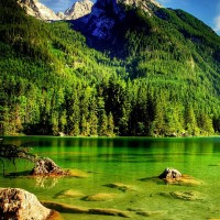 绝不犹豫的个人频道