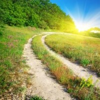 黄子韬帮女儿压腿,严厉老师上线