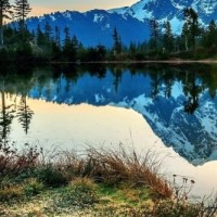 初代和迪迦在艾克斯奥特曼剧场版来了我们的奥