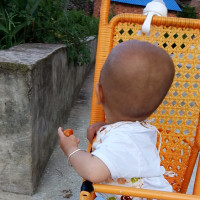 汪汪队立大功,宝宝早教,认识颜色!