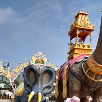 扶摇:无极看扶摇这个这样子,希望躺在那里的人