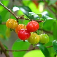 晓莹说电影的个人频道