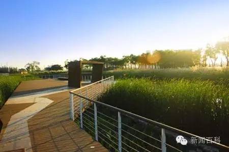 那些化工厂搬迁后空出的土地,都用来做什么了