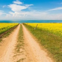 《玩具益趣园》哇,好大的一只恐龙走过来,这是