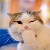 韩国人最喜欢的中国电影是什么?竟还有这部烂