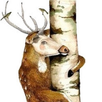 谁的处境更危险答案下个视频见