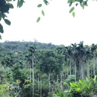 穷开瑟的个人频道