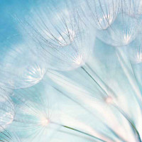 霸王龙追赶,梁龙吃树叶 恐龙动漫儿歌