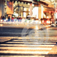 龙黄蜂:非洲最致命的蛇,看我徒手怎么抓住它