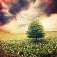 中国战警火拼泰国最硬男人!