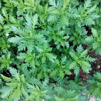 我国最爽的3所大学,开学不军训?大一新生:省