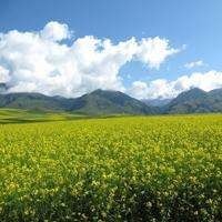 帅哥挑战锁骨喝水,结局亮了