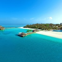 我们一起学猫叫,一起喵喵喵喵喵,小姐姐的舞蹈