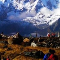 86版《西游记》三个唐僧扮演者, 你最喜欢哪一