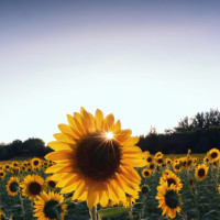 疯人院:杜东身上有如此多的秘密,怪不得如此多