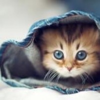 赵丽颖欧阳娜娜半夜跳舞,谢娜严肃教训!