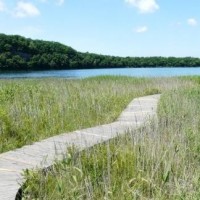 《我不是药神》发布会 徐峥剧透与女演员搞笑