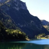 《猪猪侠之竞球小英雄2》团结就是力量,猪猪侠