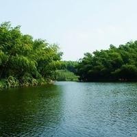 向往的生活:徐峥、王迅打电话整蛊黄磊,黄磊气