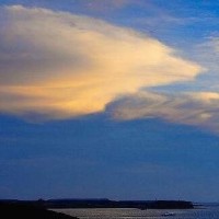 为什么奥运会以五色环为标志