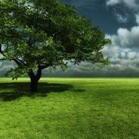 最牛游侠,一剑穿三!皇室战争搞笑对战集锦