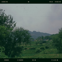 约定原创广场舞教学《DJ一晃就老了》,舞美了