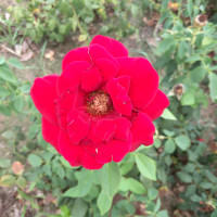 小乐乐爱踢足球的个人频道