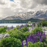 付辛博公开谈颖儿和前女友的差别,颖儿忍不住