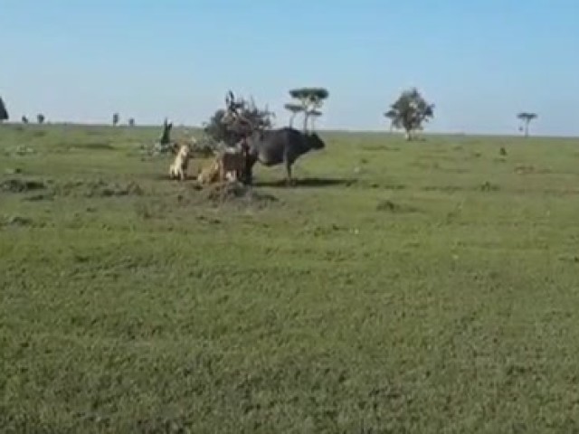 《绝地求生》韦神吃鸡碰到粉丝,粉丝认大喊韦
