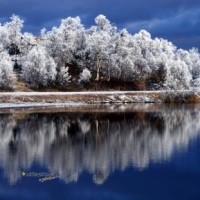 天临称他是博士学历,当李静问博士要读几年,他