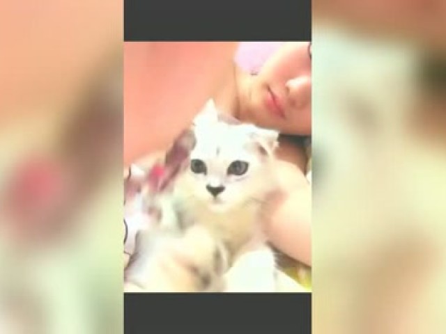 这喵星简直是赌神啊!喵界版的周润发,厉害了!