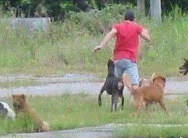 央视新闻助力电竞国家队出征亚运会 发布长图