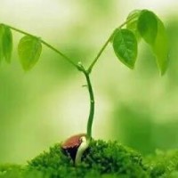 王思聪赵信你再杀我一次,你号没了,信吗胜率退